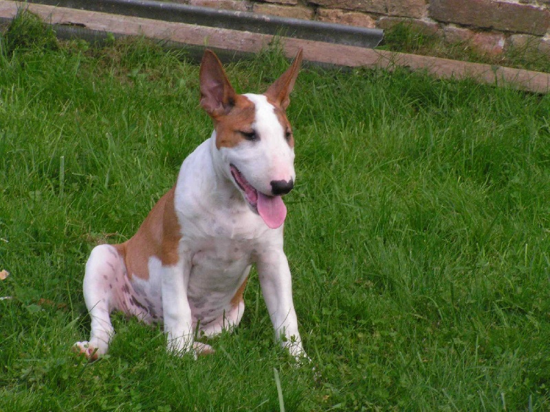 Sweet baby of lady white