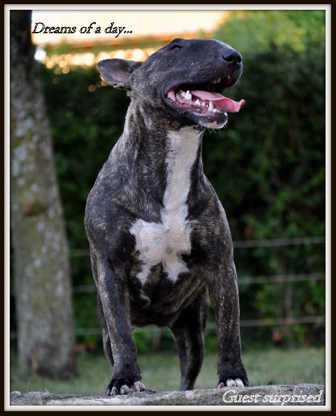 Guest surprised of lady white